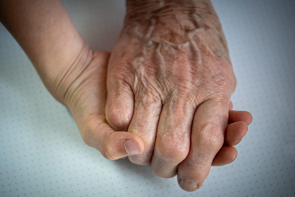 Imatge pels mitjans: Comissió de la Gent Gran